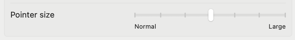 Pointer size slider dragged toward Large